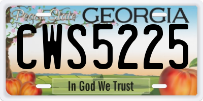 GA license plate CWS5225