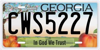 GA license plate CWS5227