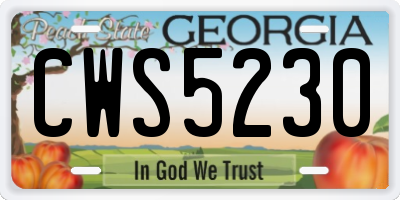 GA license plate CWS5230