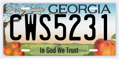 GA license plate CWS5231