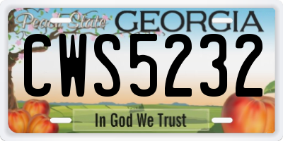 GA license plate CWS5232
