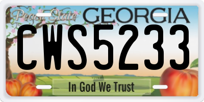 GA license plate CWS5233