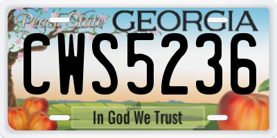 GA license plate CWS5236