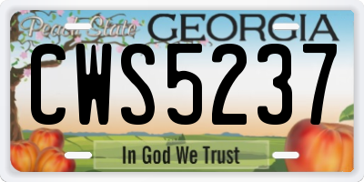GA license plate CWS5237