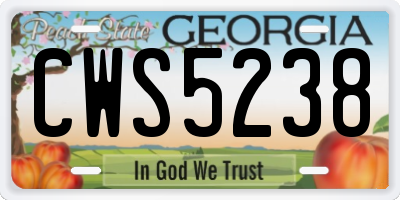GA license plate CWS5238