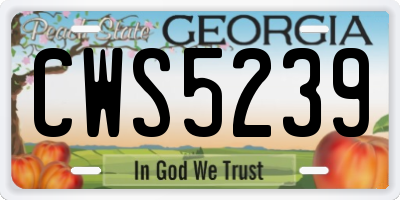 GA license plate CWS5239