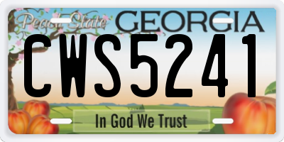 GA license plate CWS5241