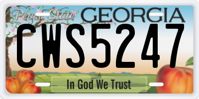 GA license plate CWS5247