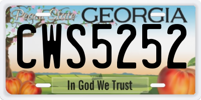 GA license plate CWS5252