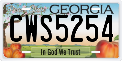 GA license plate CWS5254