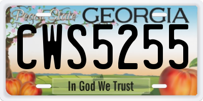 GA license plate CWS5255