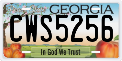 GA license plate CWS5256