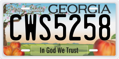 GA license plate CWS5258