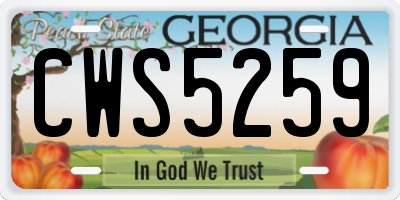 GA license plate CWS5259