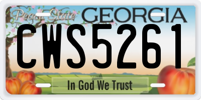 GA license plate CWS5261