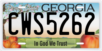GA license plate CWS5262