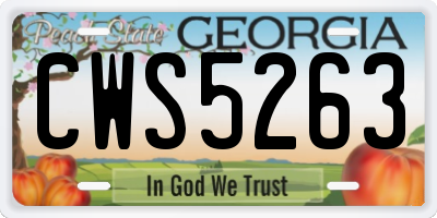 GA license plate CWS5263