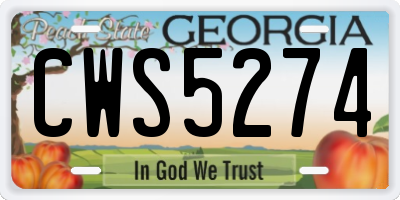 GA license plate CWS5274