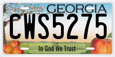 GA license plate CWS5275
