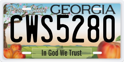 GA license plate CWS5280
