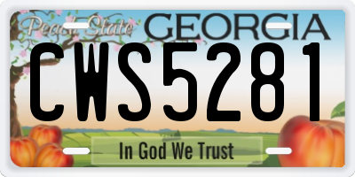 GA license plate CWS5281