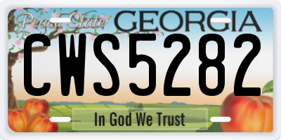 GA license plate CWS5282