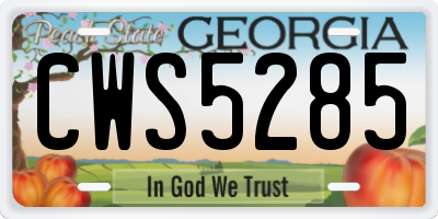 GA license plate CWS5285