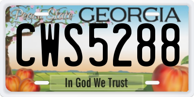 GA license plate CWS5288