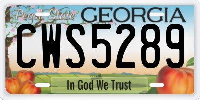 GA license plate CWS5289