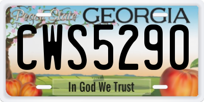 GA license plate CWS5290