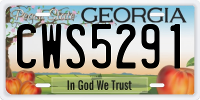 GA license plate CWS5291