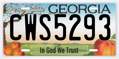GA license plate CWS5293