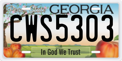 GA license plate CWS5303