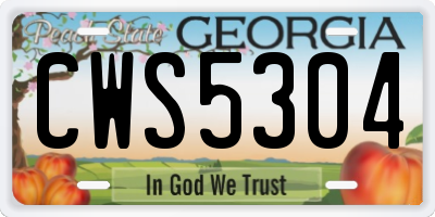GA license plate CWS5304
