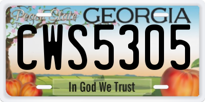 GA license plate CWS5305