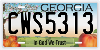 GA license plate CWS5313