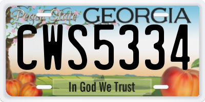 GA license plate CWS5334