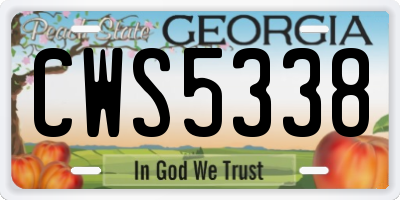 GA license plate CWS5338