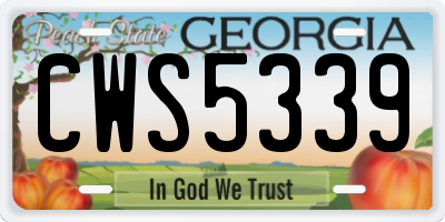GA license plate CWS5339