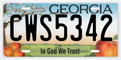 GA license plate CWS5342