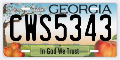 GA license plate CWS5343