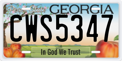 GA license plate CWS5347