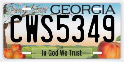 GA license plate CWS5349