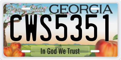 GA license plate CWS5351