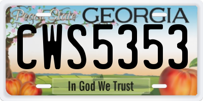 GA license plate CWS5353