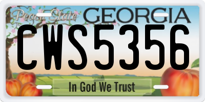 GA license plate CWS5356