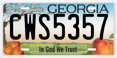GA license plate CWS5357