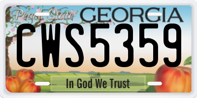 GA license plate CWS5359