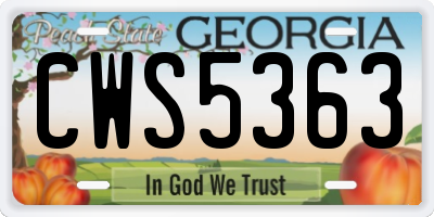 GA license plate CWS5363