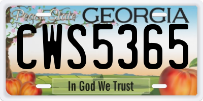 GA license plate CWS5365